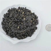 Vogelvoer Zonnebloempitten