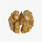 Walnoot Halve Pitten