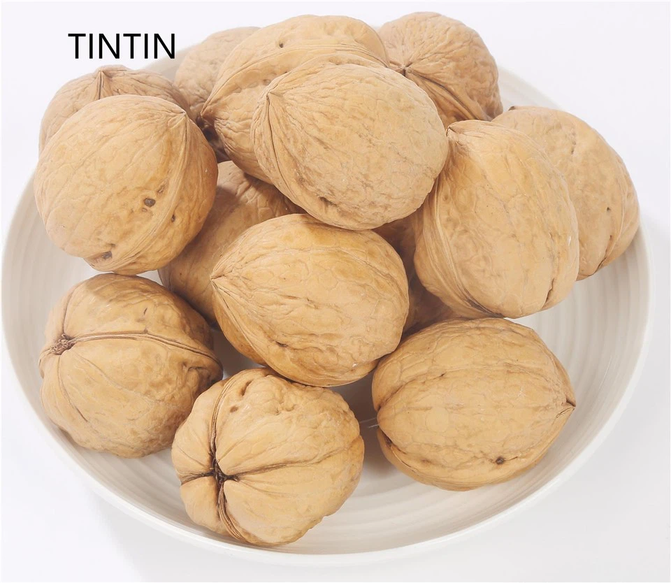 Beste prijs Chinese walnoot in dop