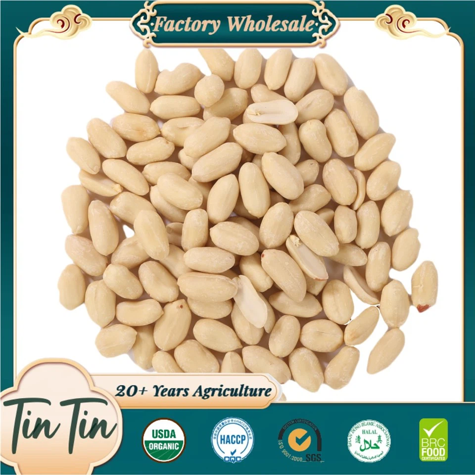 Geblancheerde pinda -kernels 25/29 2024 gewas