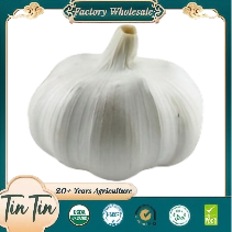 Normale bulklevering van witte knoflook Fabrieksmatig