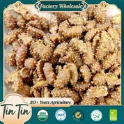 Leverancier van goede kwaliteit Chinese koffiepinda's