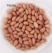 Leverancier van hoogwaardige Chinese pindapitten