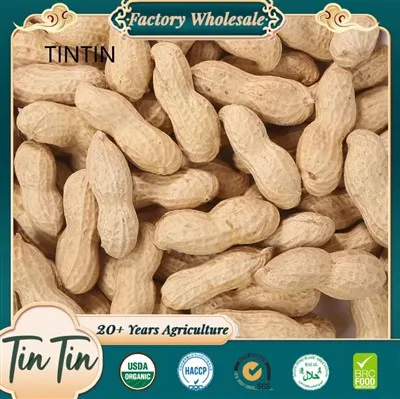 Gezonde Chinese geroosterde pinda's in de schil