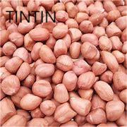Red Skin Best Price And Good Quality Peanut Kernels