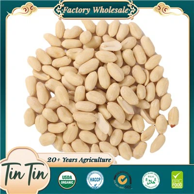 Uitstekende kwaliteit en gezonde geblancheerde pindapitten