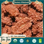 Groothandel Goede Kwaliteit Oorsprong China Koffie Pinda