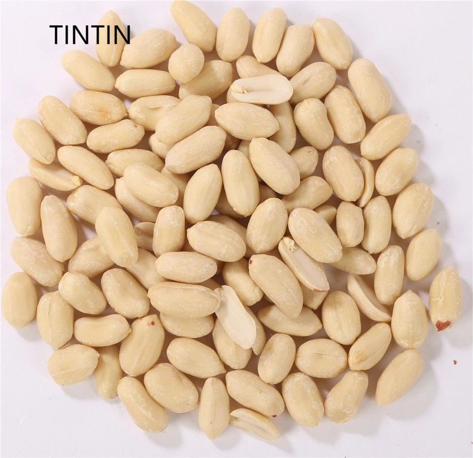 Groothandel 100% natuurlijke en gezonde Chinese geblancheerde pindapitten